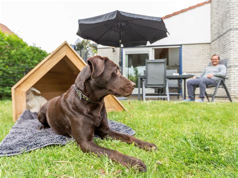 weekend weg met hond omheinde tuin|Vakantie met hond omheinde tuin